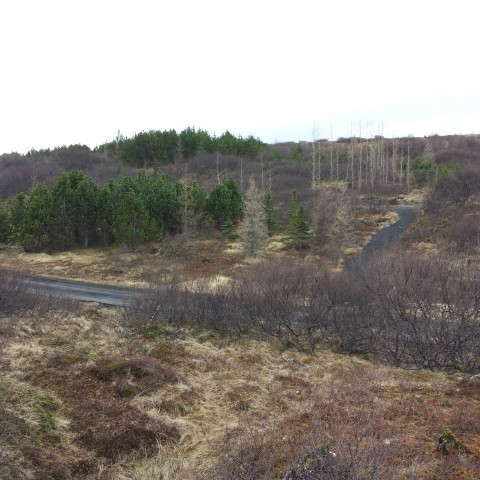 Gróðursetningardagurinn 2014