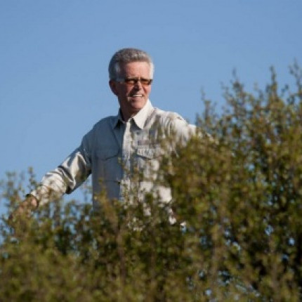 Stórsír í gróðurham