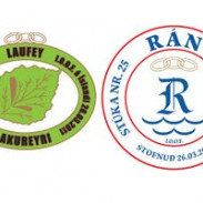 Merki hinna nýju regludeilda