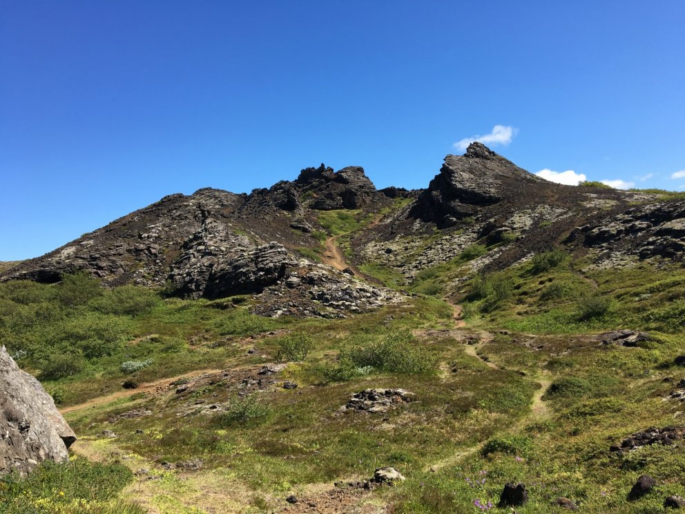 Tillaga að friðlýsingu Búrfells, Búrfellsgjár og Selgjár í Garðabæ