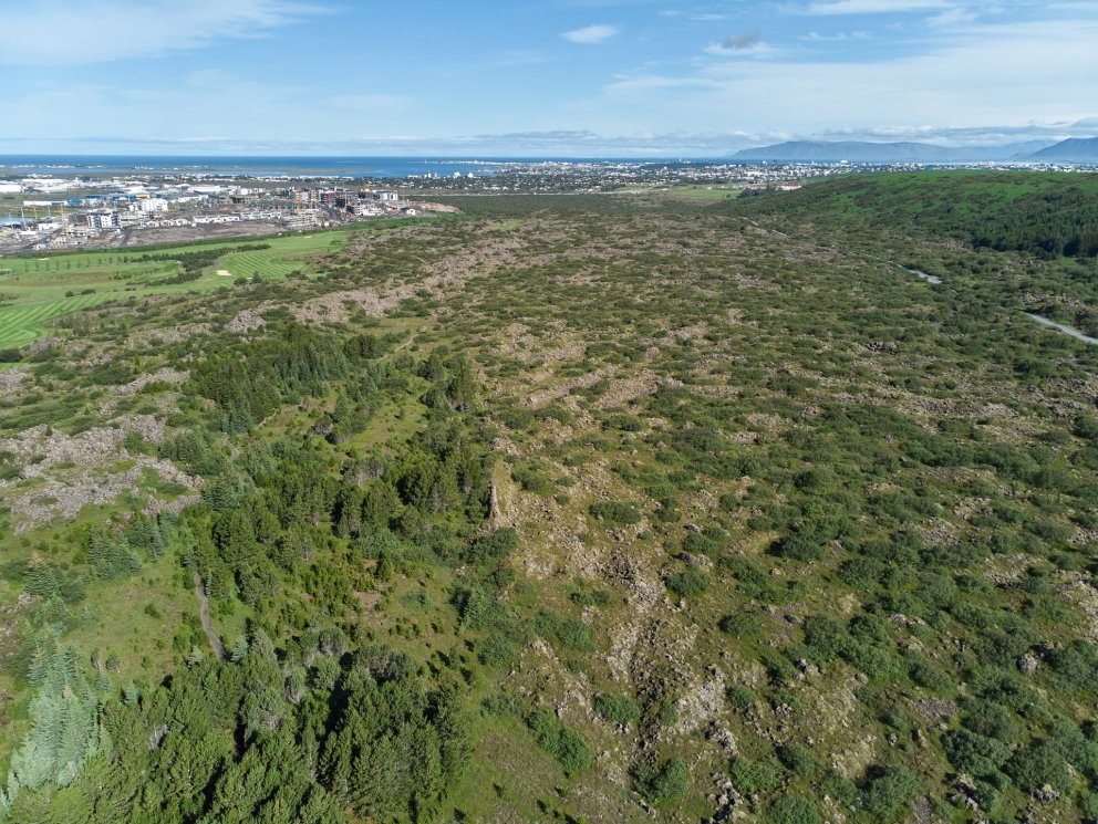 Fólkvangur friðlýstur í Urriðakotshrauni í Garðabæ
