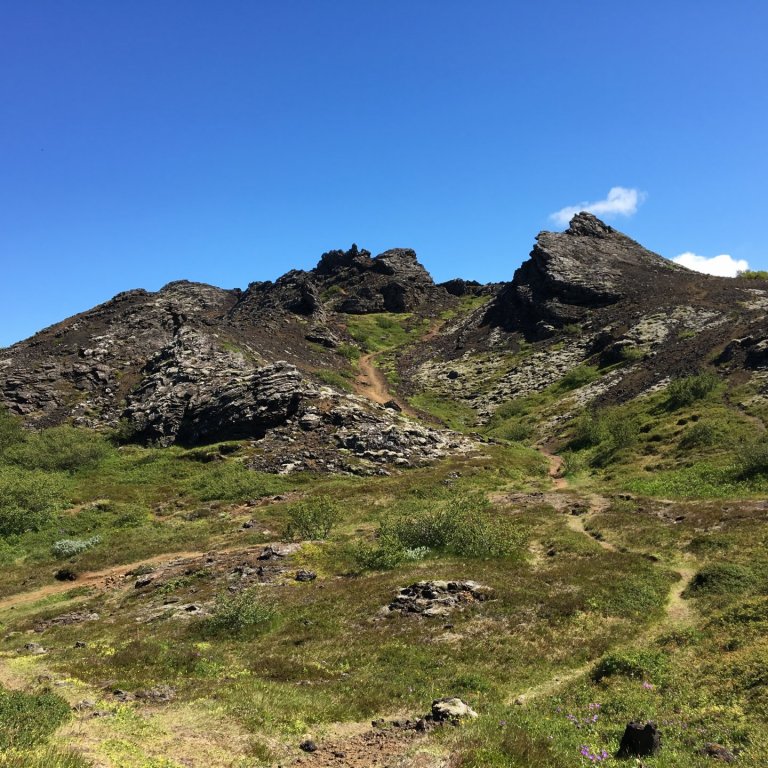 Tillaga að friðlýsingu Búrfells, Búrfellsgjár og Selgjár í Garðabæ