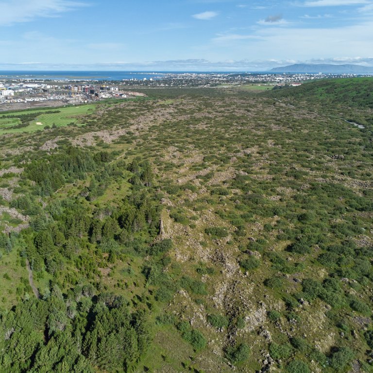 Fólkvangur friðlýstur í Urriðakotshrauni í Garðabæ