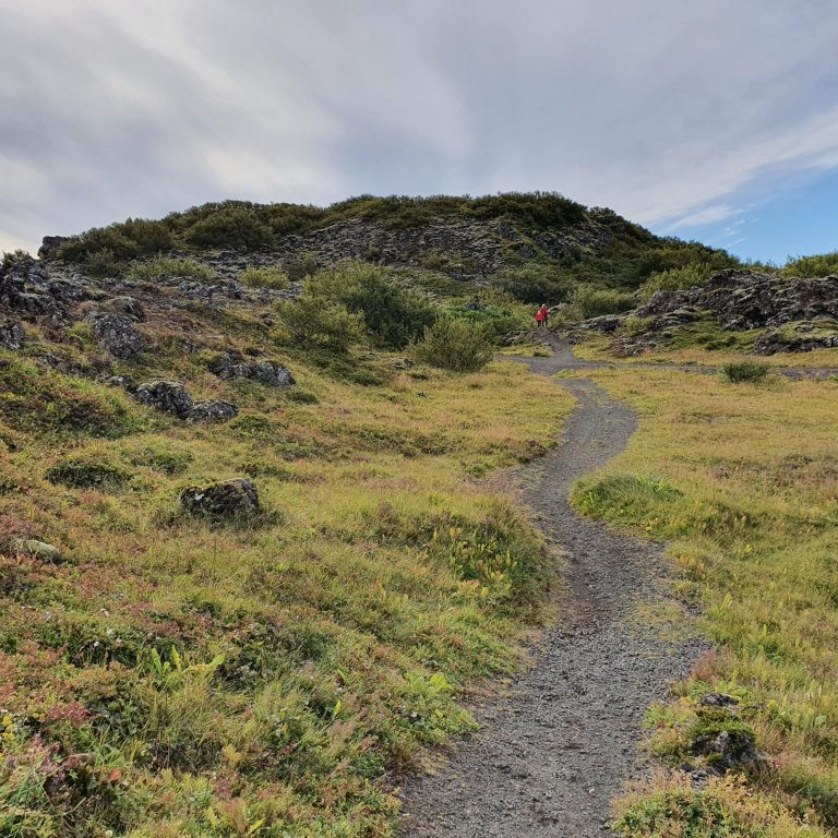 Áform um friðlýsingu Urriðakotshrauns